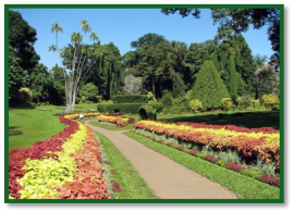 Acquaintance To The Island - Kandy